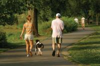 Discontinuous exercise - multiple shorter sessions instead of one longer one - leads to better control of blood pressure